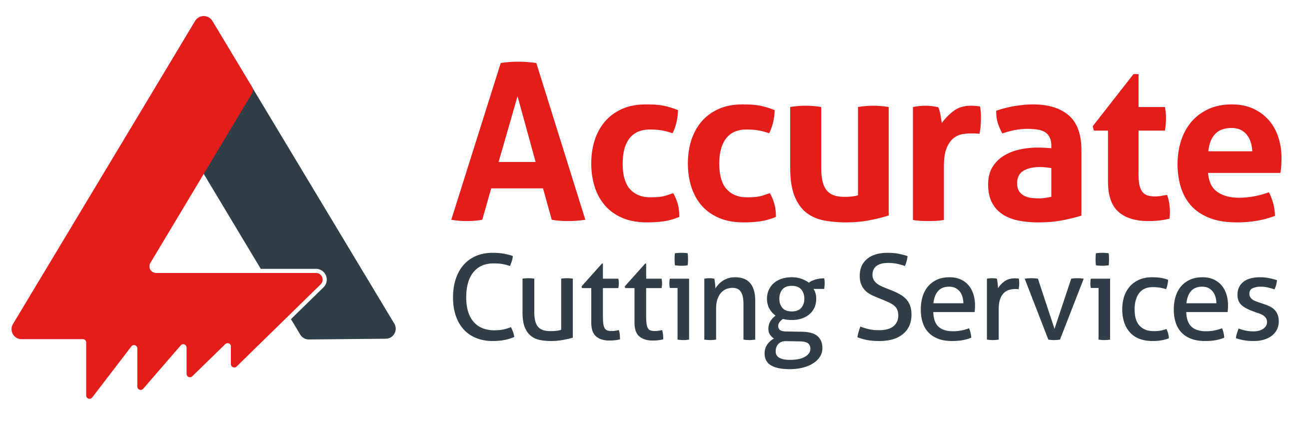 Accurate_Logo_Master_1